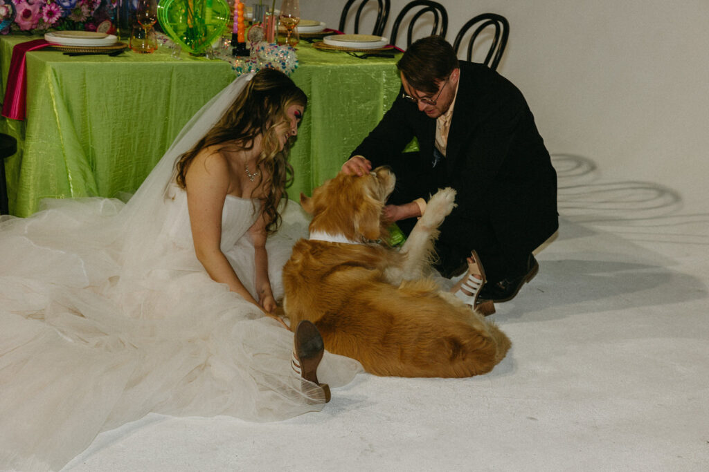 A newlywed couple sitting on the ground playing with a dog. 